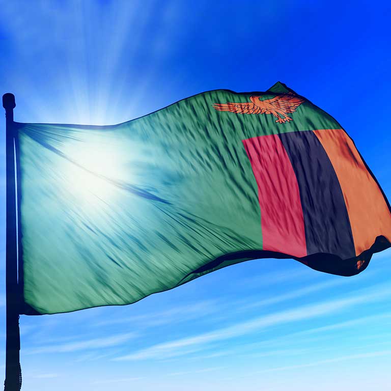 The Zambian flag. Photo: Shutterstock
