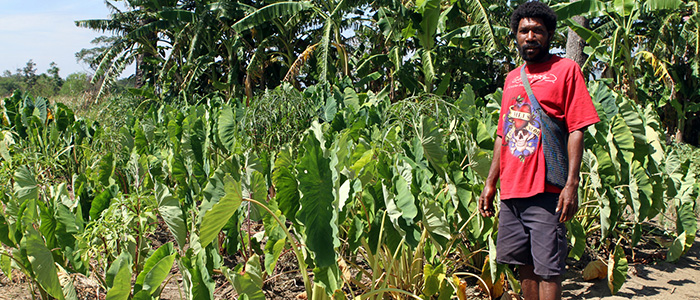 A farmer in Papua New Guinea