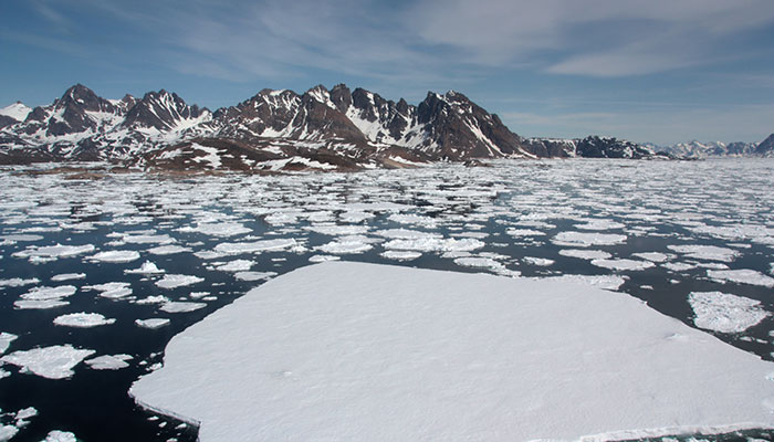 Arctic melting ice caps 