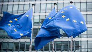 EU flags