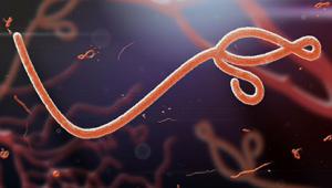 Future proofing against Ebola © Shutterstock