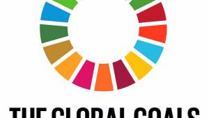 SDG logo