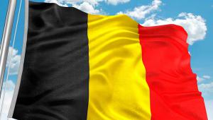 Belgium has been urged to reverse a decline in the size of its international aid budget.