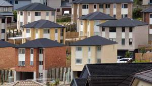 Houses in Auckland, New Zealand