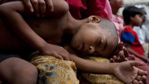 Web_Malaria_iStock_000016839858_Large.jpg