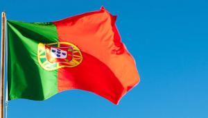 Portugal’s foreign aid budget is dwindling and action is needed to stop it declining further, an OECD review has found