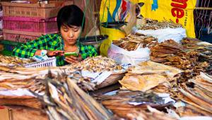 A market trader on her smart phone in Myanmar