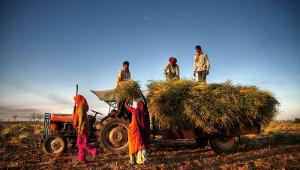 Farmers at work in India