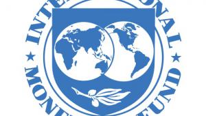 International Monetary Fund logo