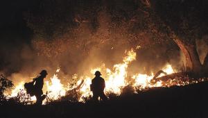 wildfire_istock