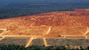 Deforestation in Brazil