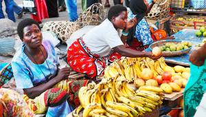 Women selling fruit at market