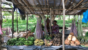 Produce in Papua New Guinea