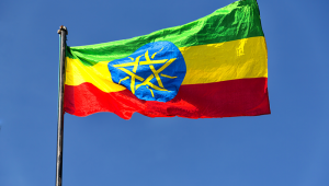 Ethiopian flag Shutterstock 1025132278