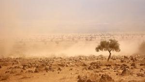 North Kenya - drought 