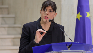 Laura Kovesi Shutterstock 1108661729