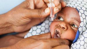 A child being vaccinated for polio