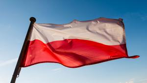 Polish flag