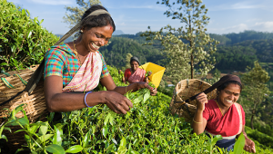 sri lanka_istock