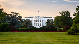 The White House