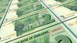 Zimbabwean bond notes. Shutterstock 616393664