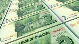 Zimbabwean bond notes. Shutterstock 616393664