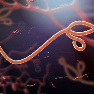 Future proofing against Ebola © Shutterstock
