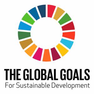 SDG logo