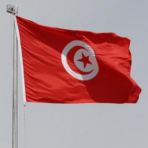 Tunisia's flag
