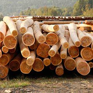 Logging, Timber, Wood 