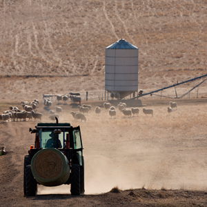 Australiadrought_shutterstock