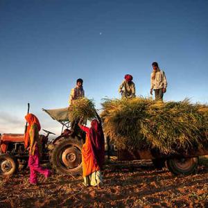 Farmers at work in India