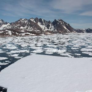 Arctic melting ice caps 