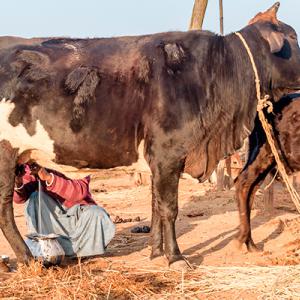 Farming in Jharkand
