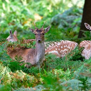 nature park_shutterstock