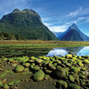   New Zealand’s Local Government Funding Agency has shown how councils can come together to lower borrowing costs and achieve an increased profile with central government