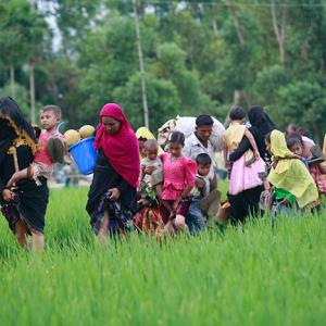Rohingya refugees