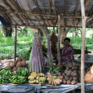 Produce in Papua New Guinea