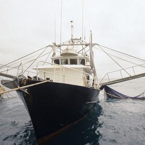 Fishing trawler SHUTTERSTOCK