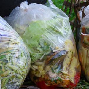 Food waste