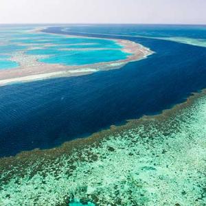Great Barrier Reef_ISTOCK