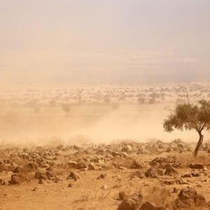 North Kenya - drought 