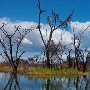 Kenyan river