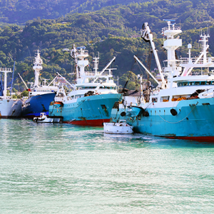 seychellesfishing_istock