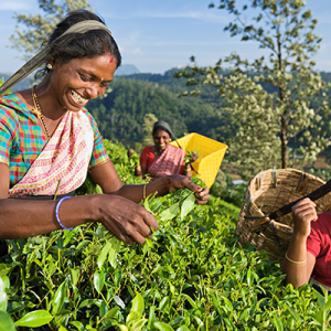 sri lanka_istock