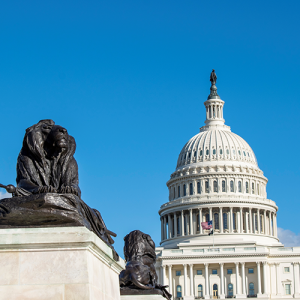 US senate Shutterstock 1933430687