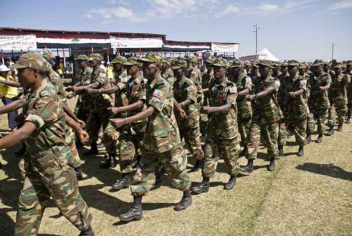 The Ethiopian army