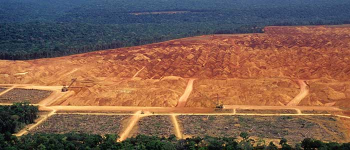 Deforestation in Brazil