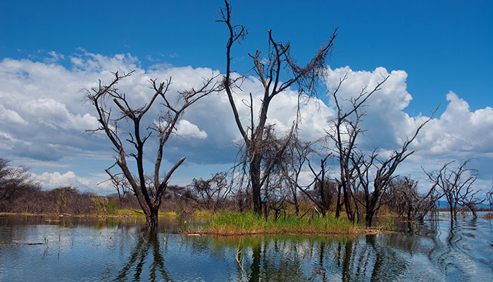 Kenyan river