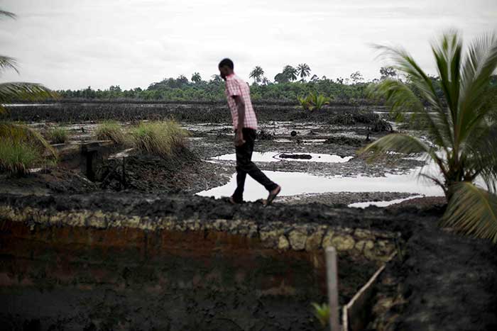 Oil pollution in Ogoniland. Credit: Luka Tomac/Friends of the Earth International